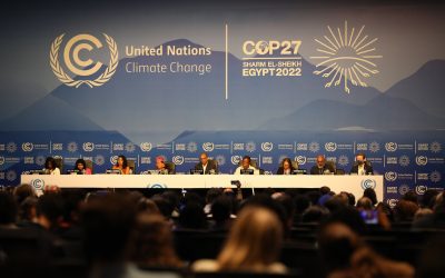 How Effective Was COP27?